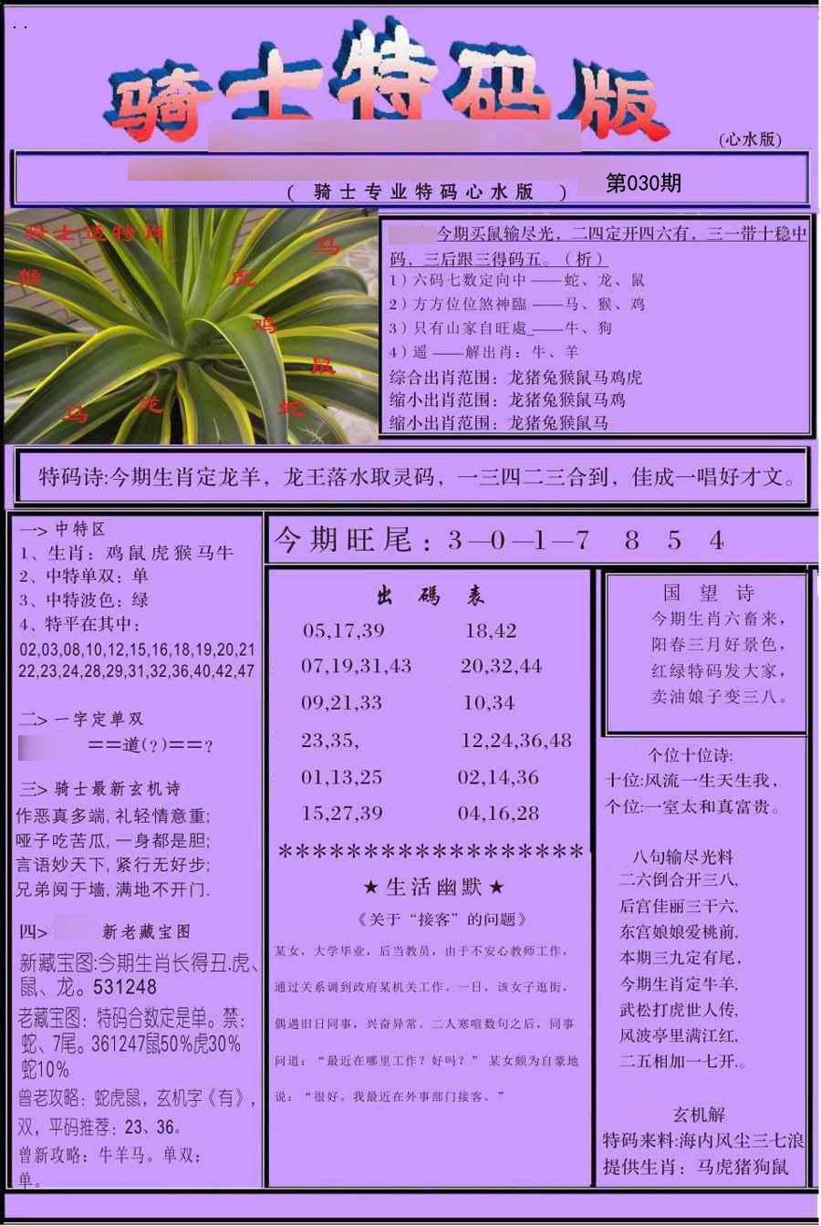 030期骑士特码版[图]