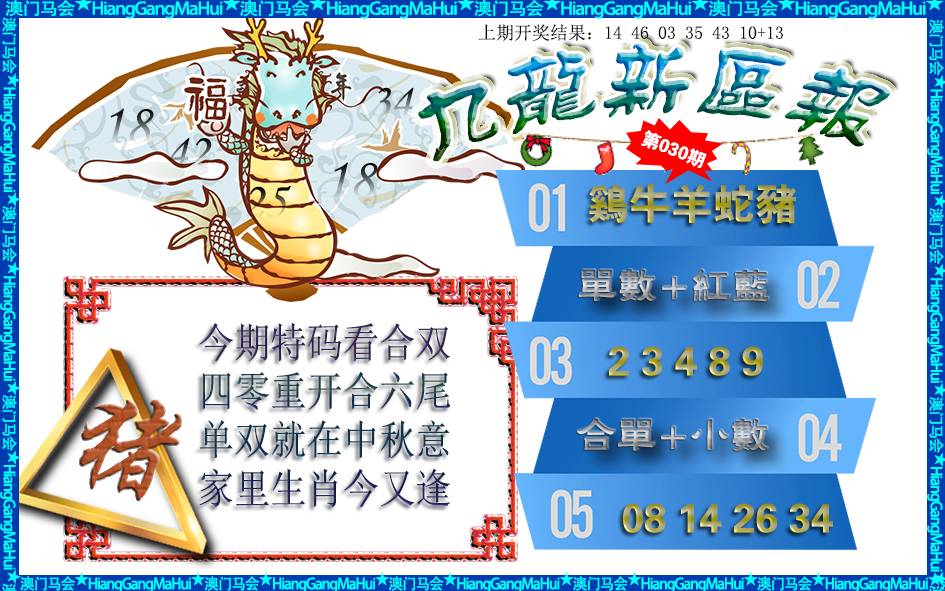 030期九龙新区报[图]