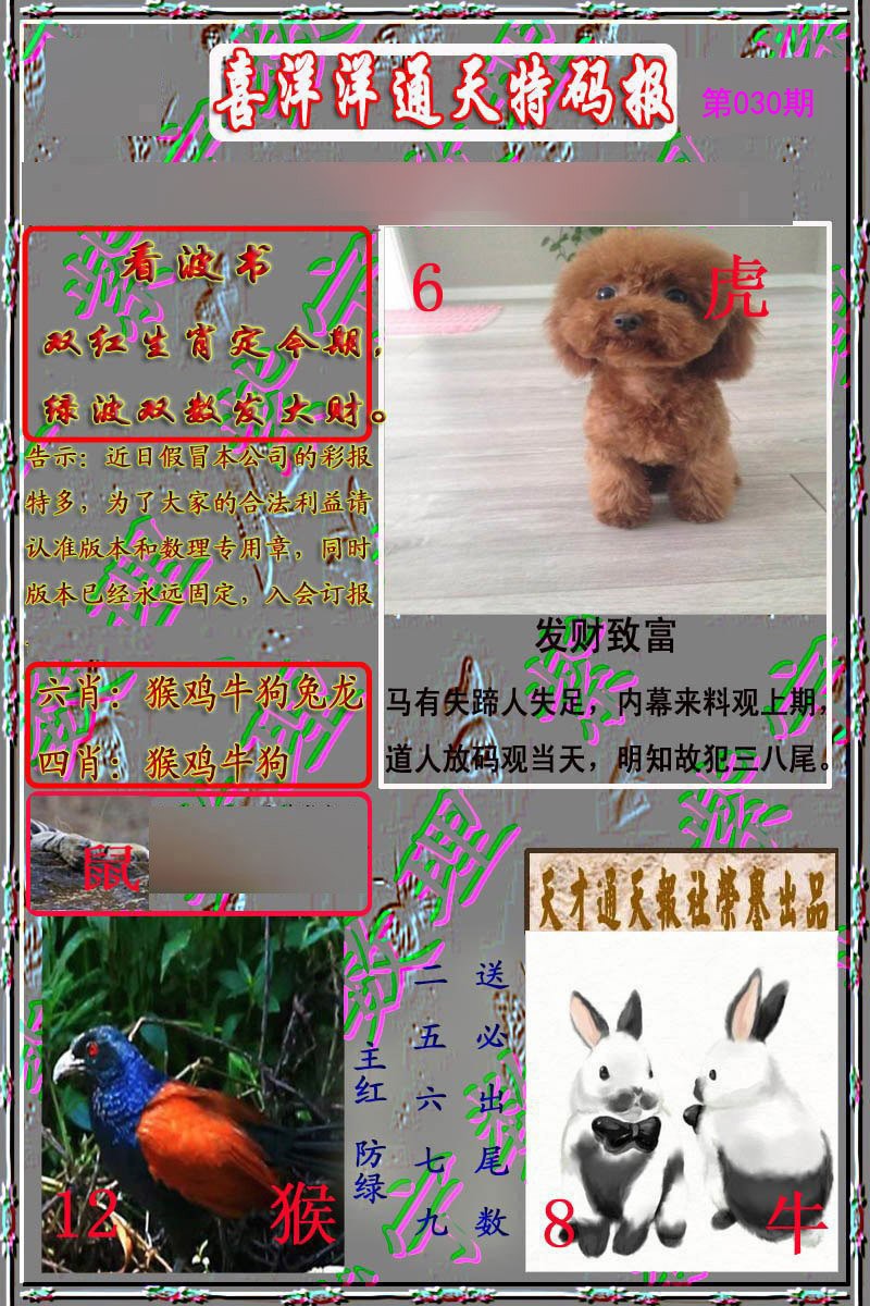030期洋通报[图]