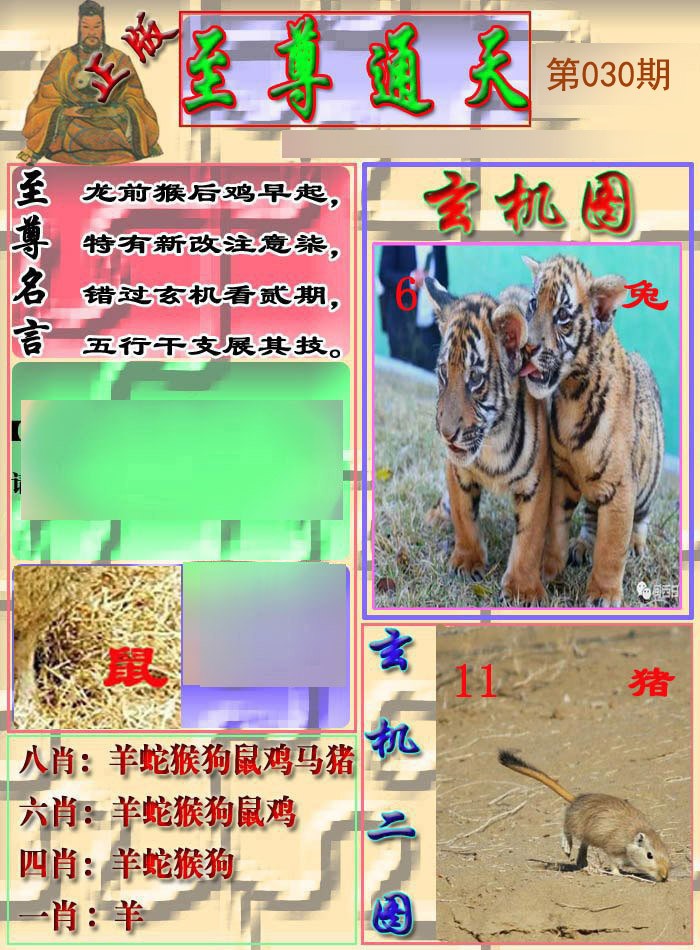 030期至通报[图]