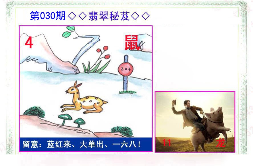 030期翡翠报[图]