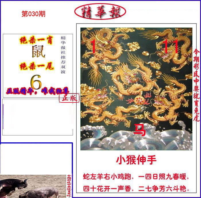 030期新精华报报[图]