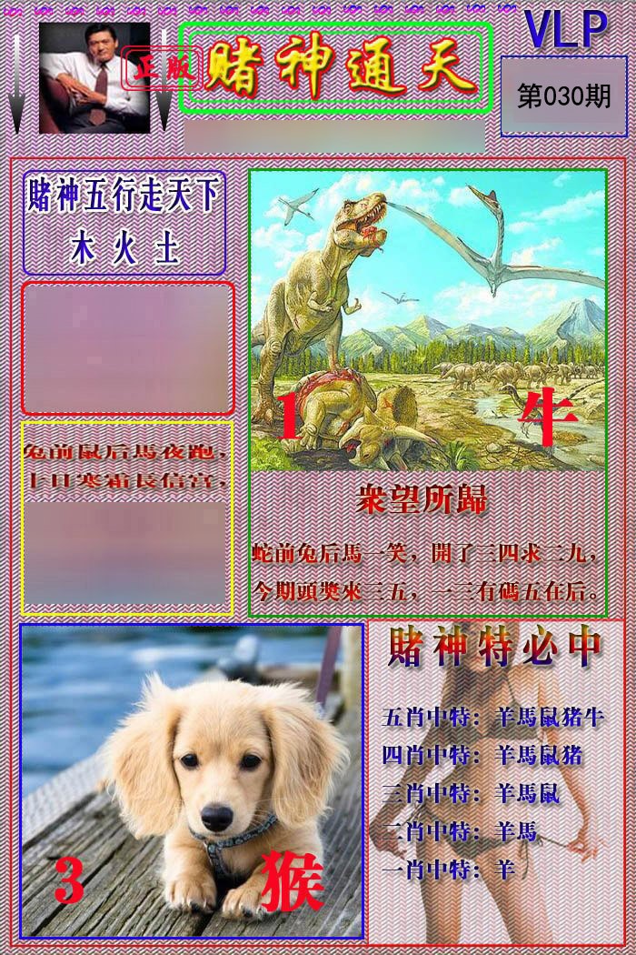 030期赌神通天报[图]