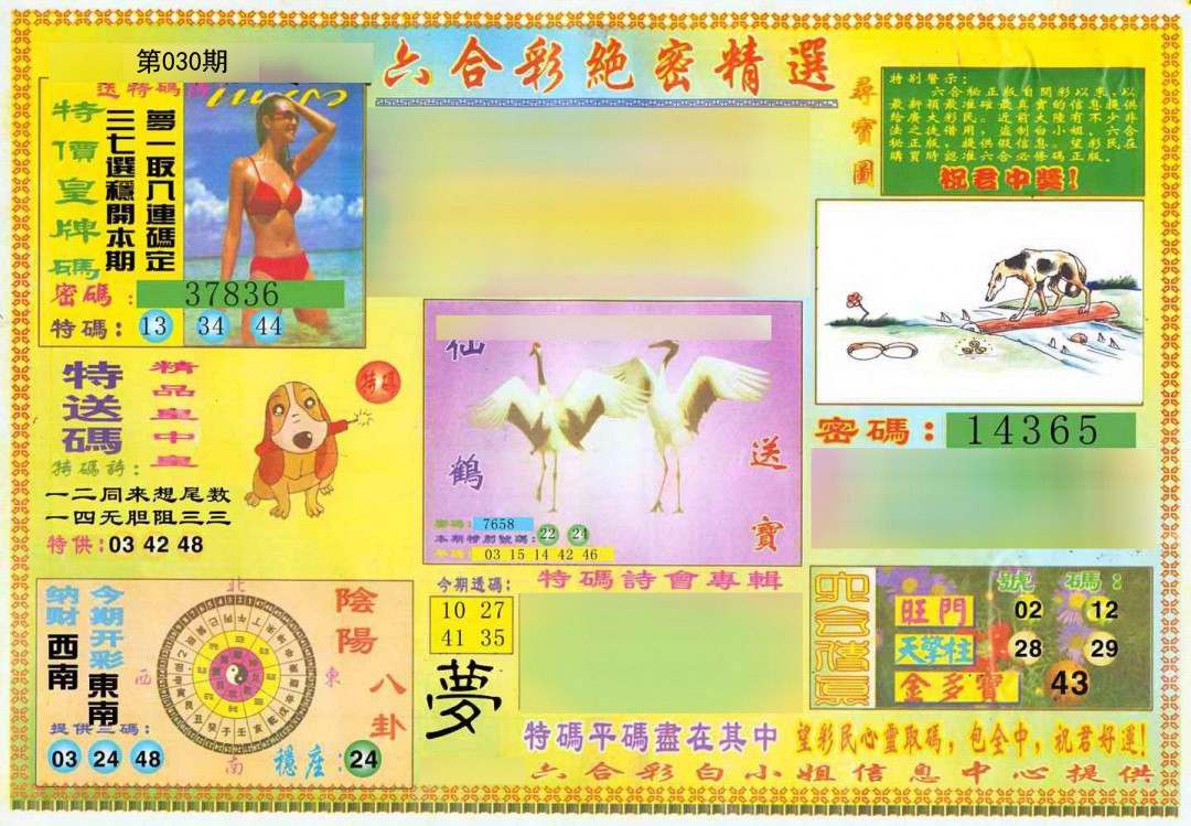 030期绝密精选A[图]