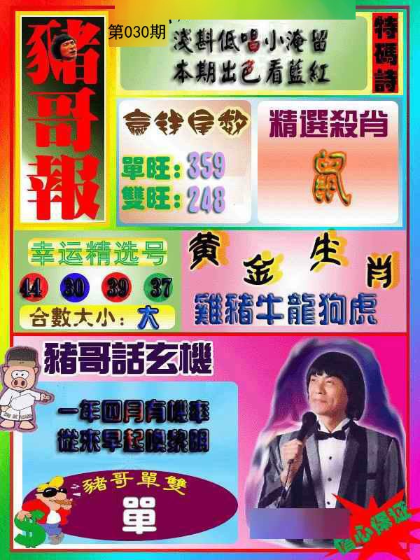 030期猪哥报[图]