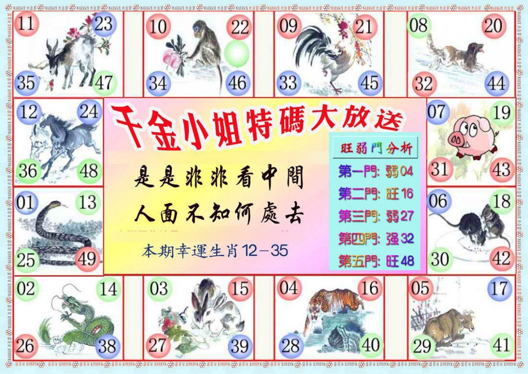 030期千金小姐B版[图]