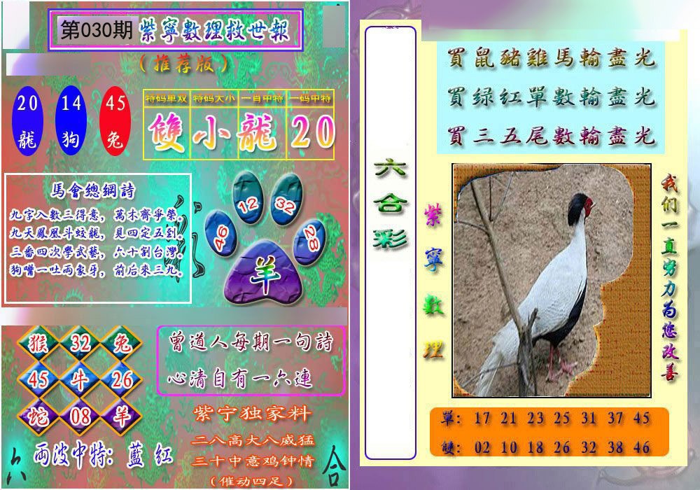 030期数理救世报[图]