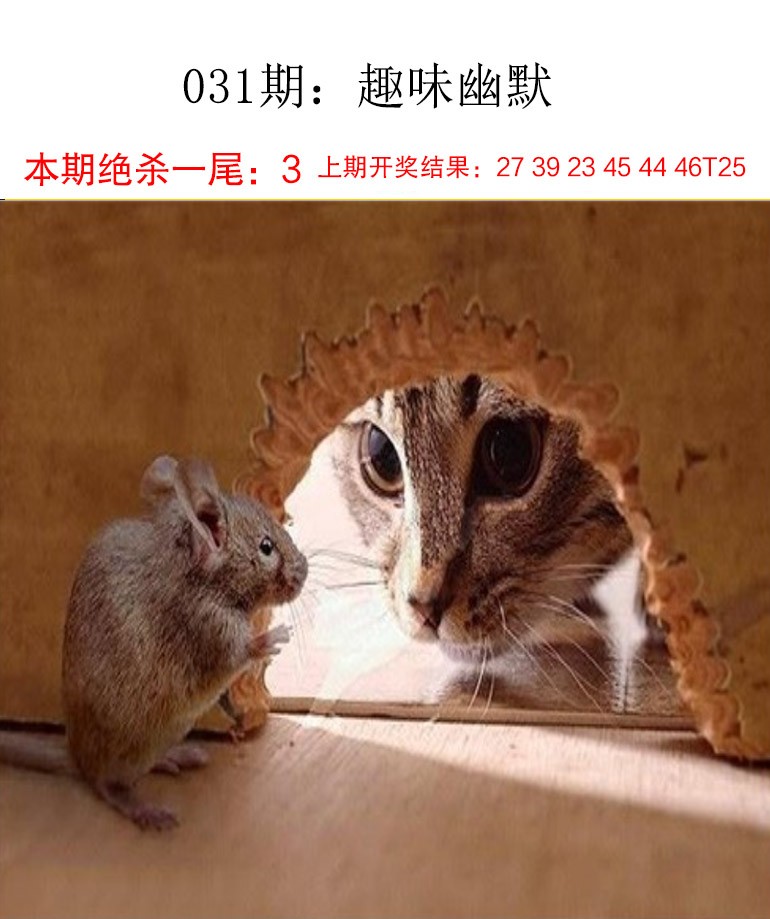 031期趣味幽默[图]