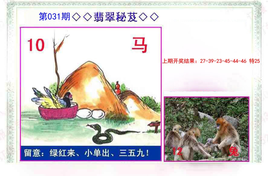031期翡翠报[图]