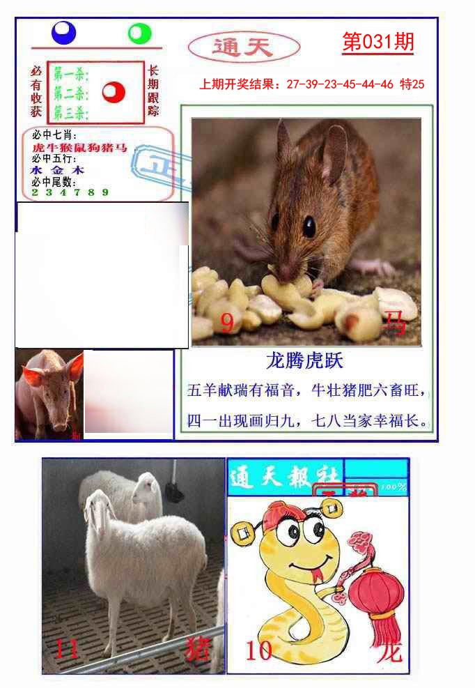 031期通天杀波图2[图]