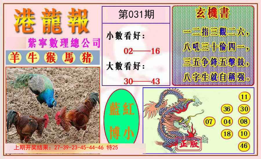 031期港龙报[图]