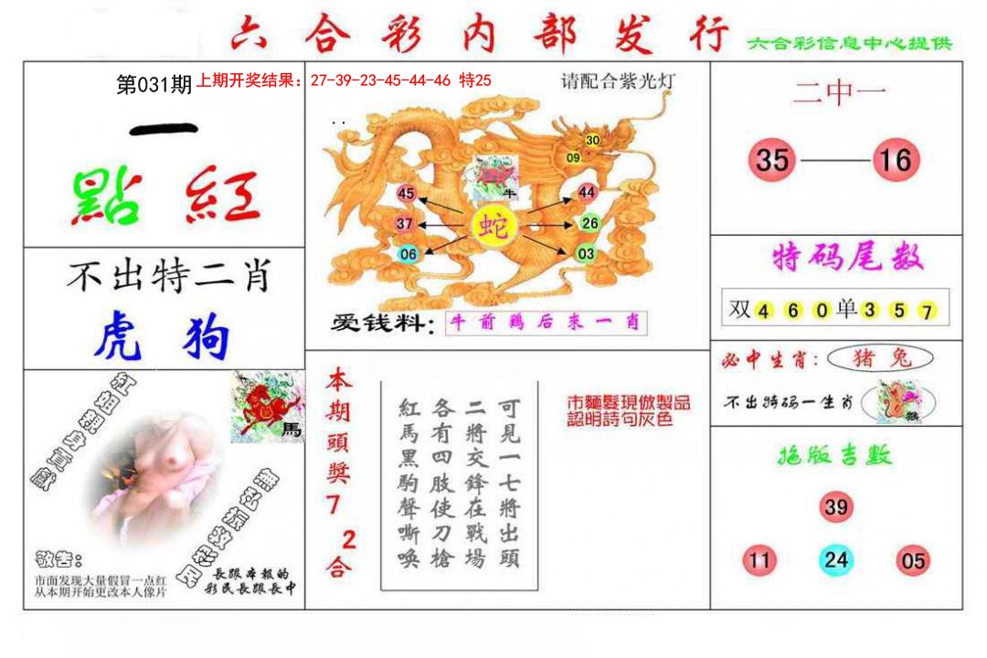 031期一点红[图]