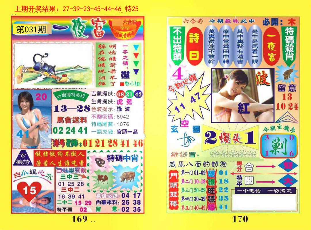 031期一夜富[图]