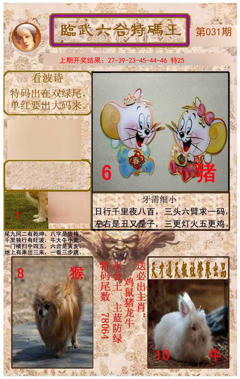 031期临武六合特码王[图]