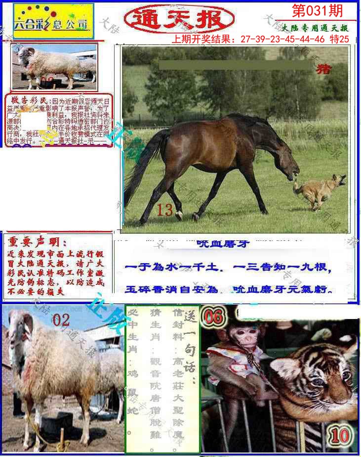031期大陆通天报[图]