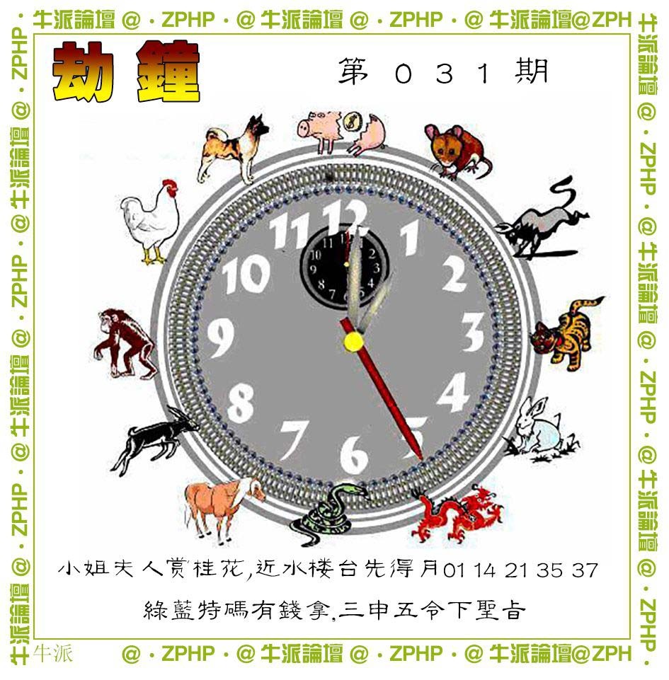031期牛派系列4[图]