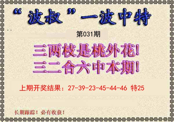 031期波叔一波中特[图]