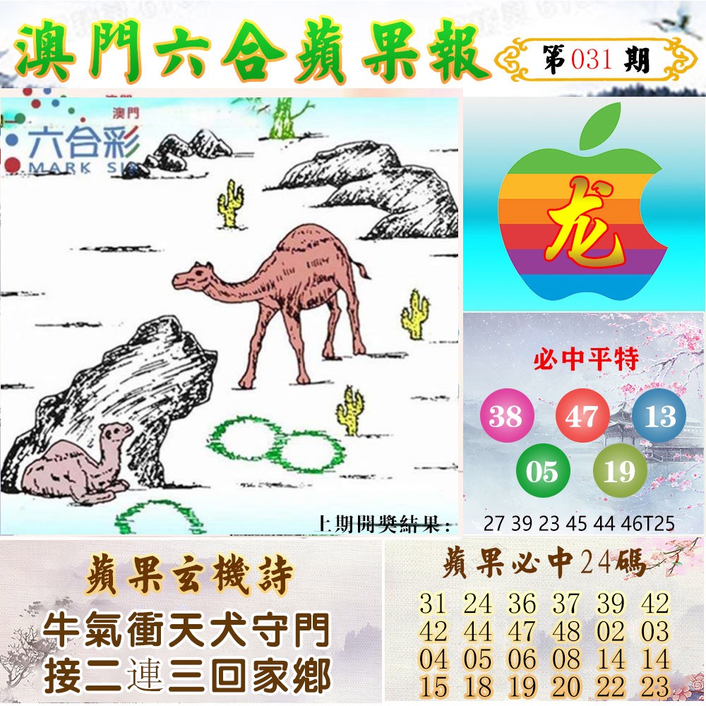 031期苹果报[图]