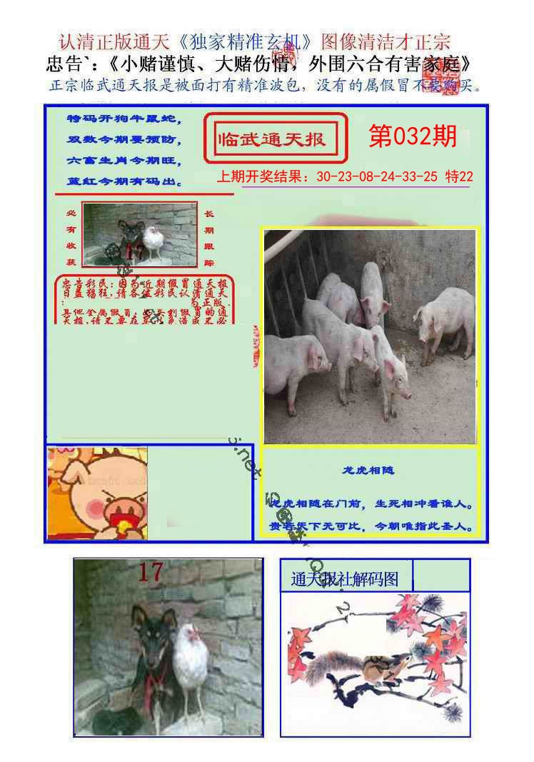 032期临武通天报[图]