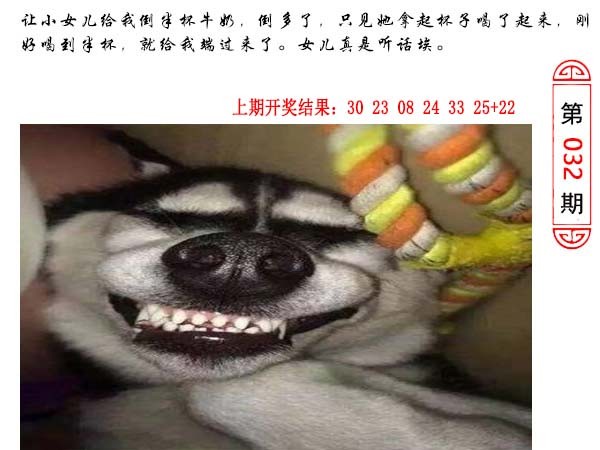 032期澳门生活幽默[图]