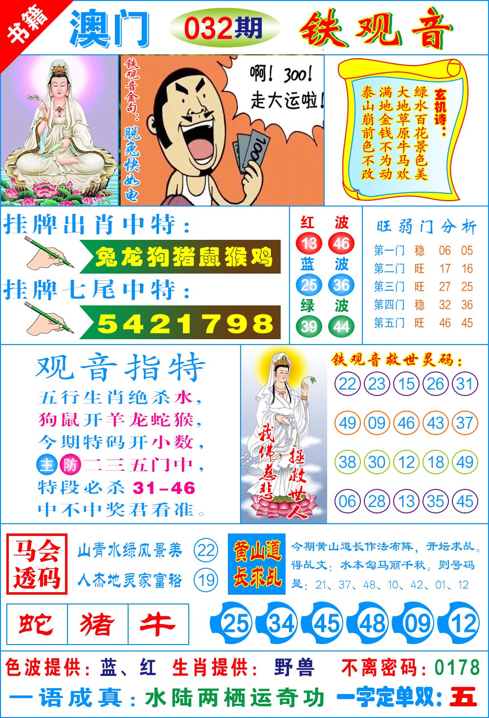 032期澳门铁观音[图]