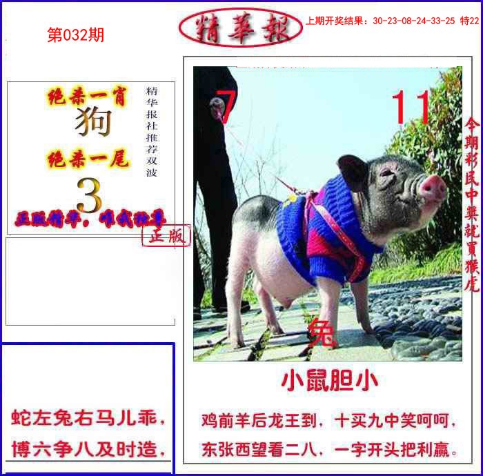 032期新精华报报[图]