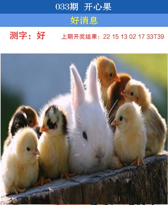 033期开心果[图]