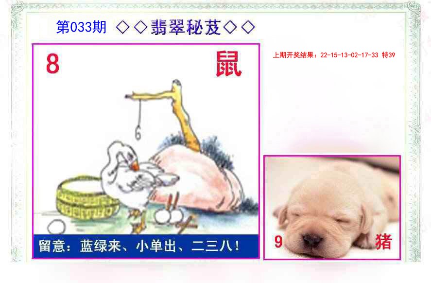 033期翡翠报[图]