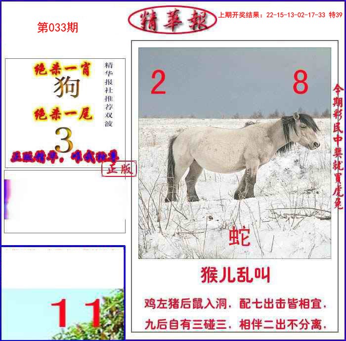 033期新精华报报[图]