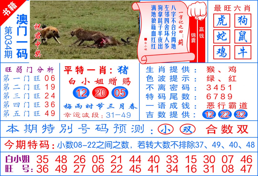 034期澳门飞龙宝典[图]