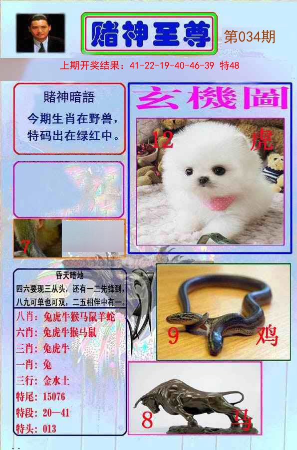 034期赌神至尊[图]