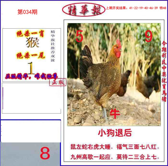 034期新精华报报[图]