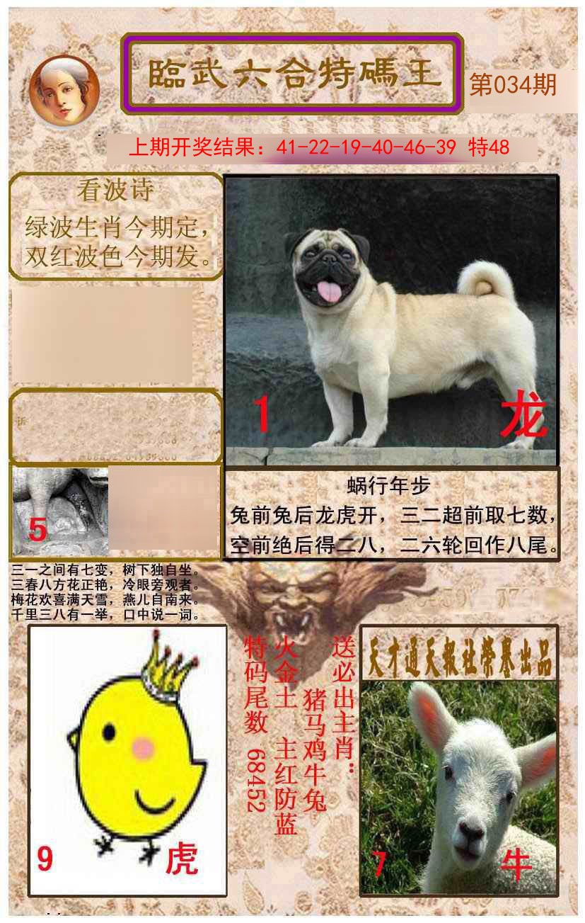 034期临武六合特码王[图]