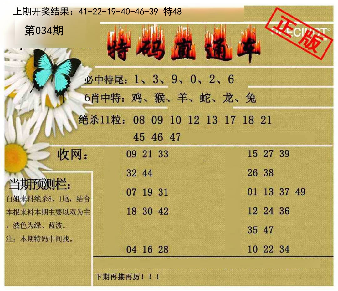 034期特码直通车[图]