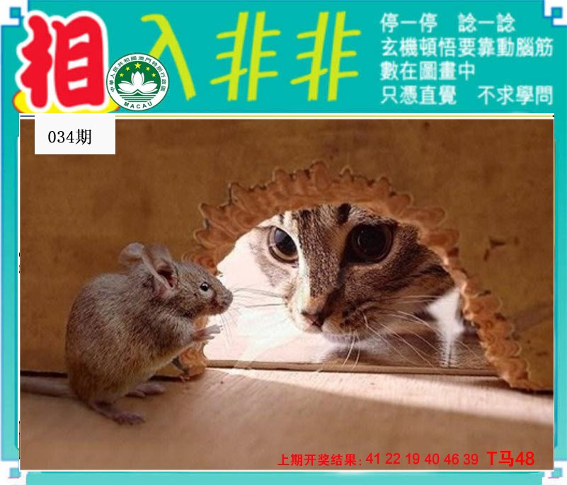 034期相入非非[图]