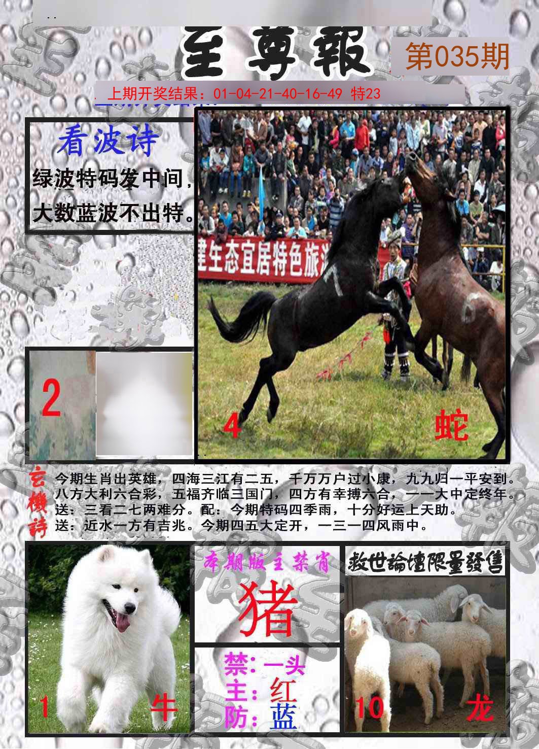 035期至尊报[图]