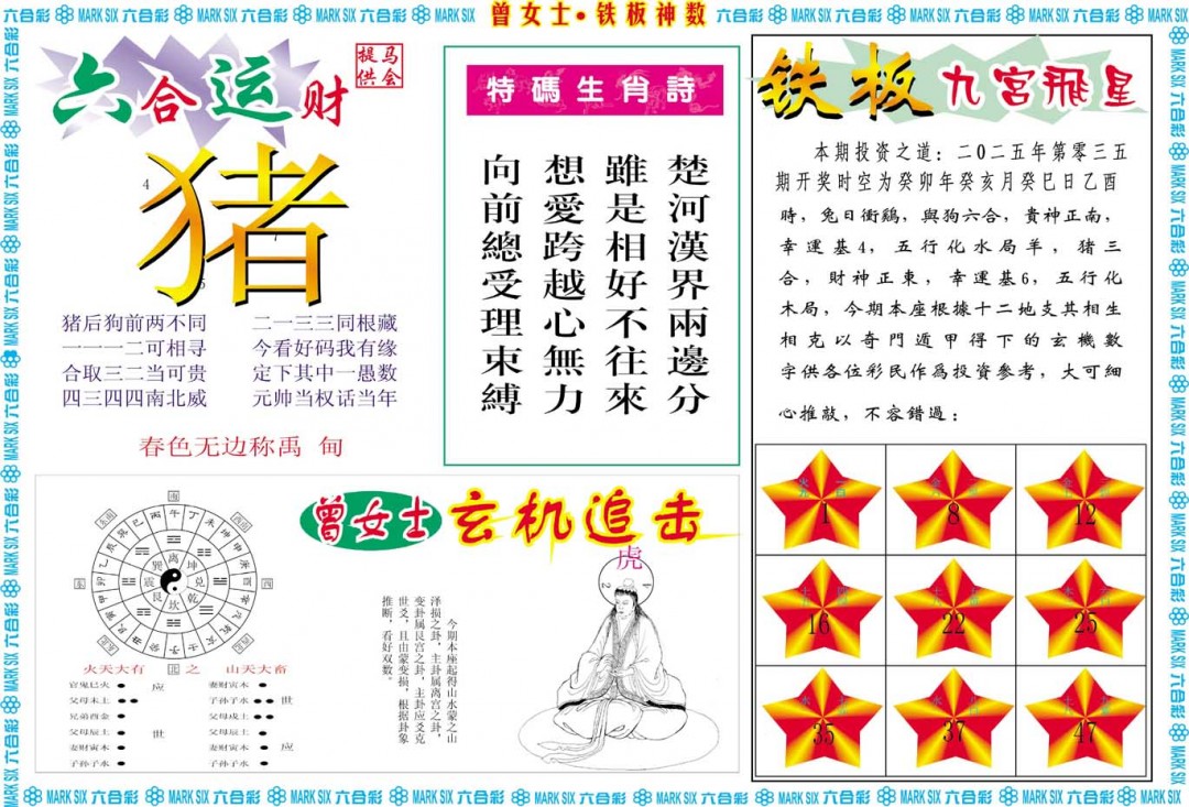 035期曾女士铁板神数B[图]