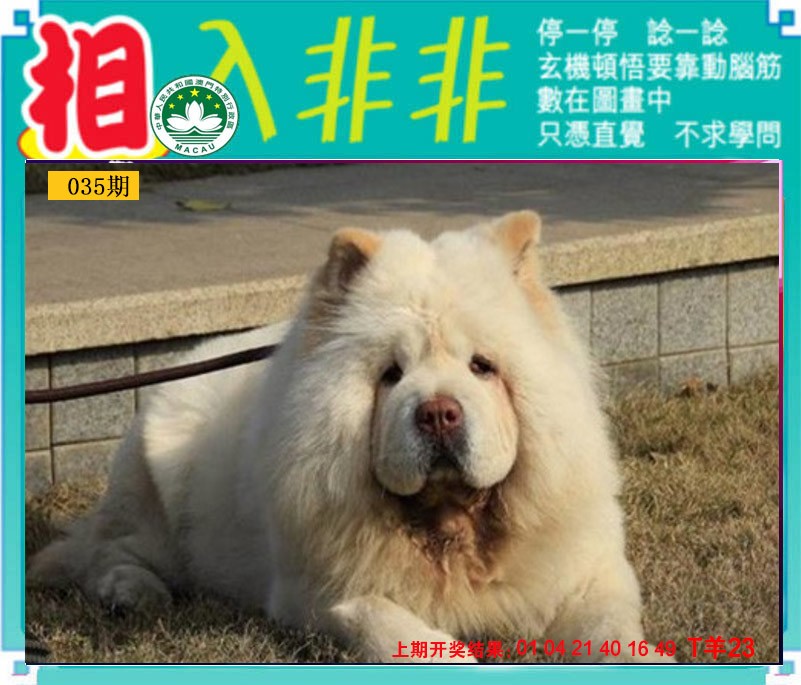 035期相入非非[图]