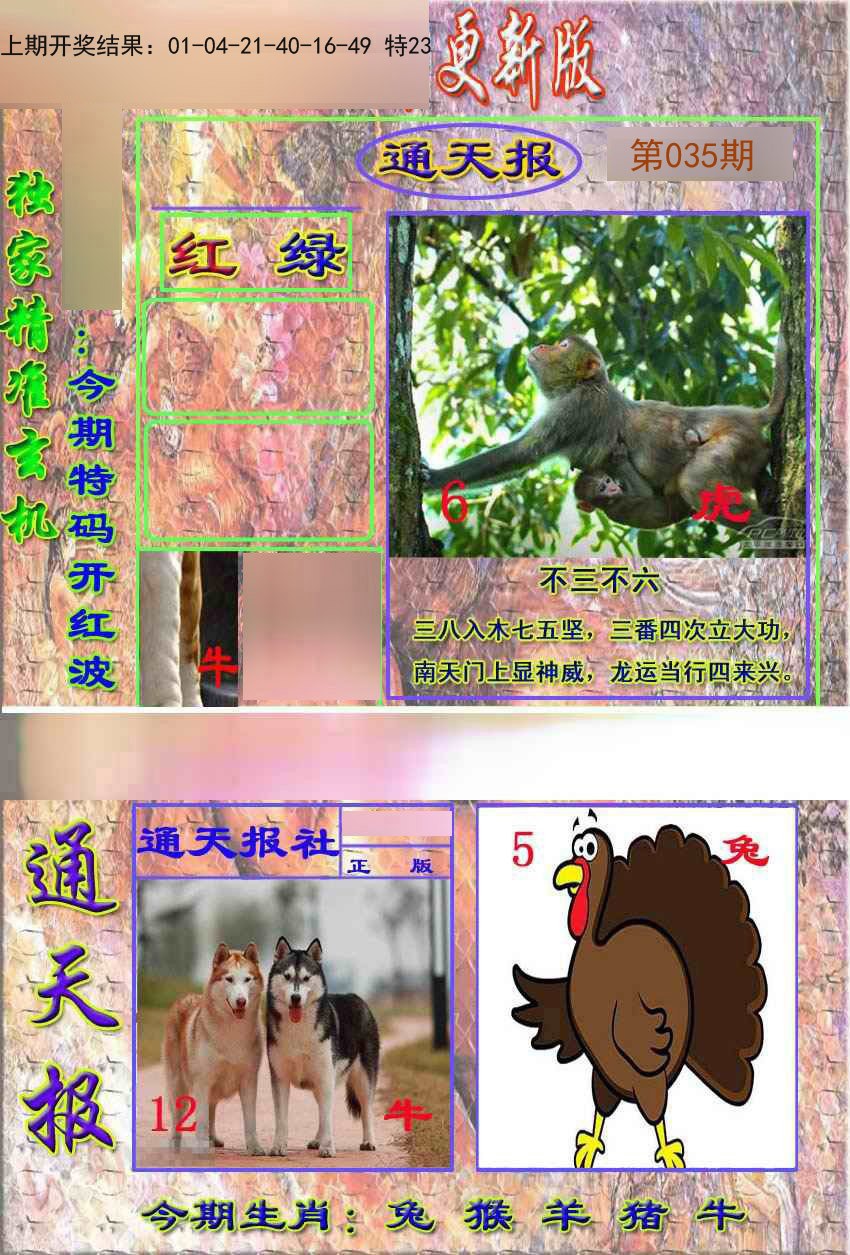 035期新通报[图]