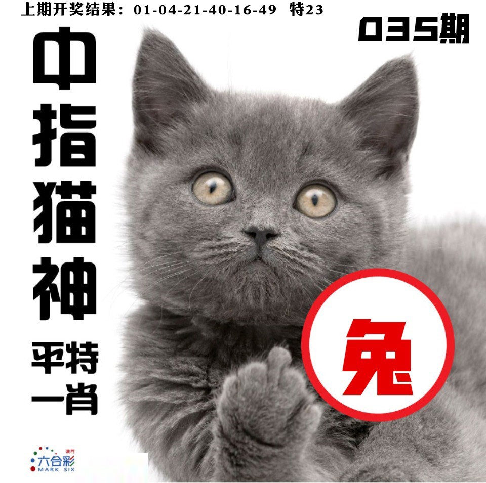 035期中指猫神[图]