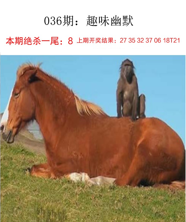 036期趣味幽默[图]