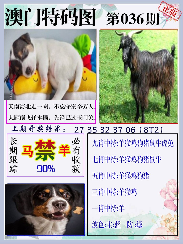 036期特码图[图]