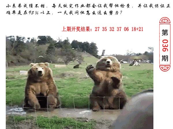 036期澳门生活幽默[图]