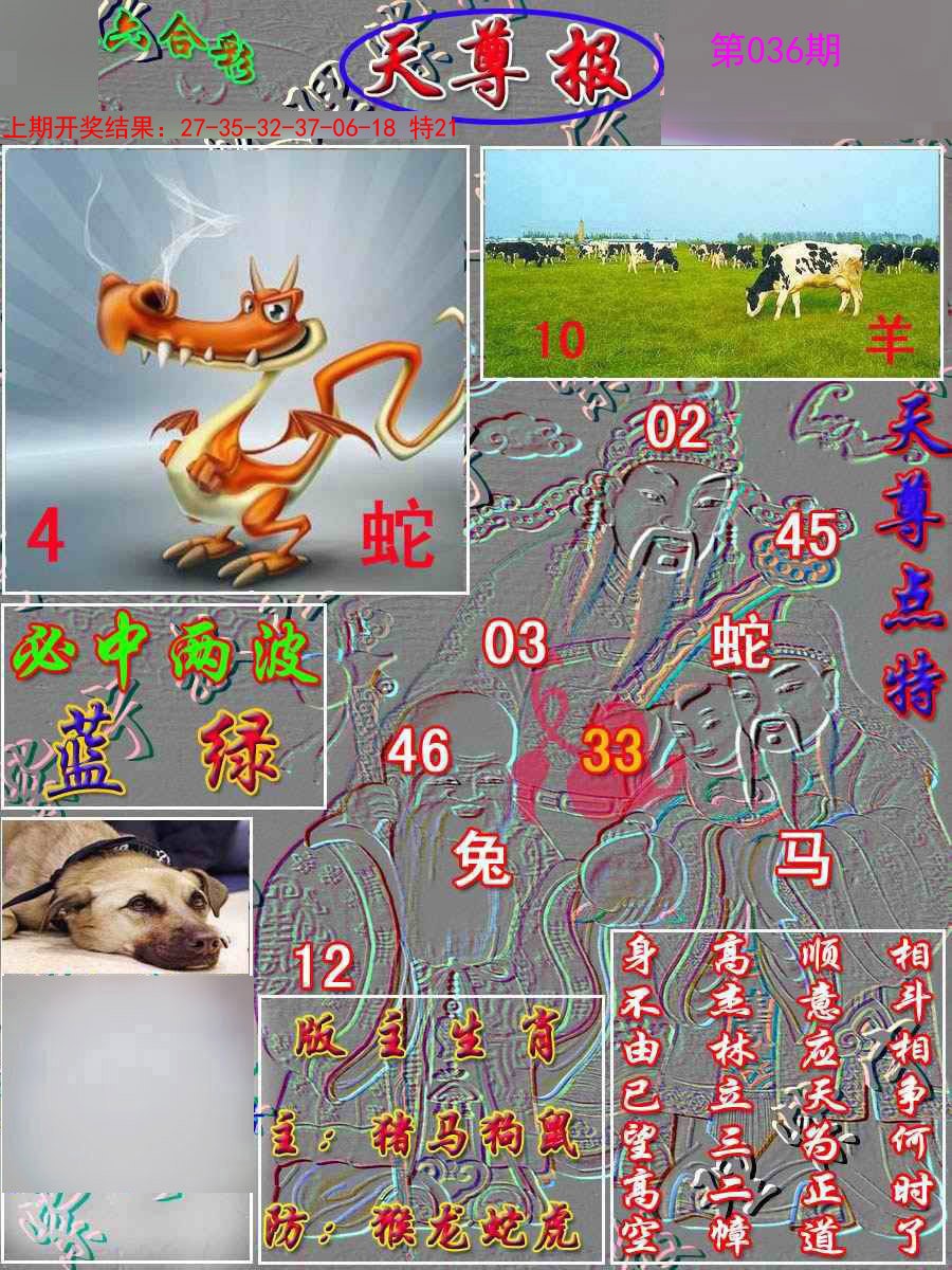 036期天尊报[图]
