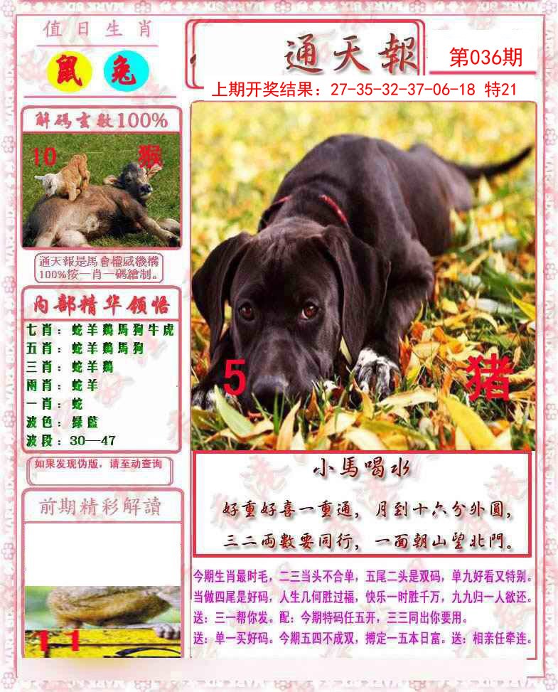 036期马经通天报[图]