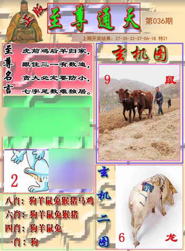 036期至通报[图]