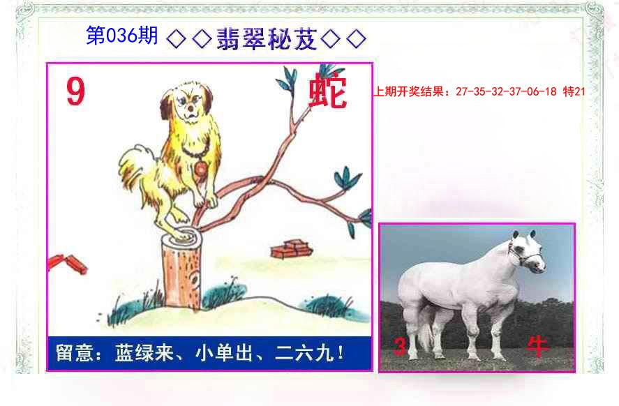 036期翡翠报[图]