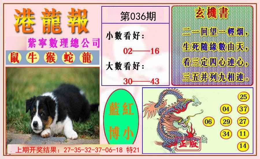 036期港龙报[图]