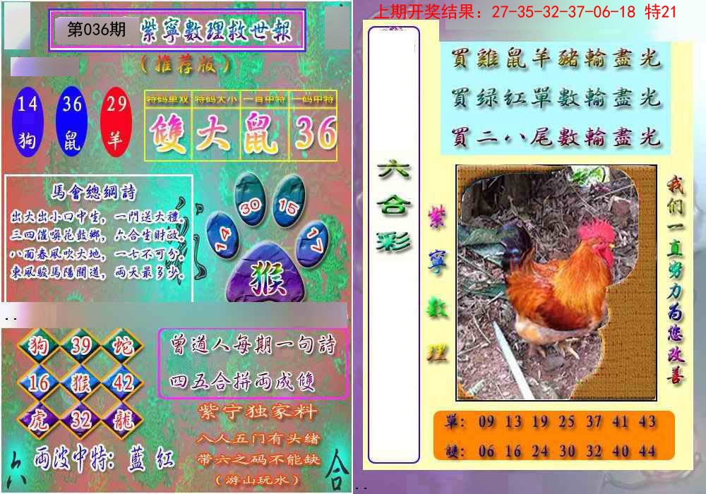 036期数理救世报[图]