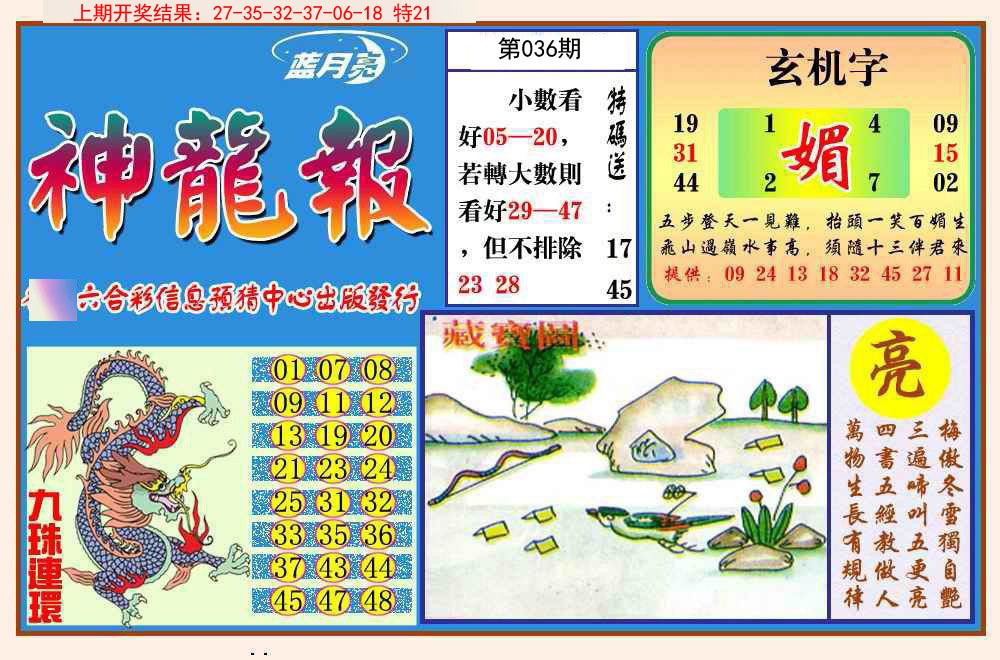 036期神龙报[图]